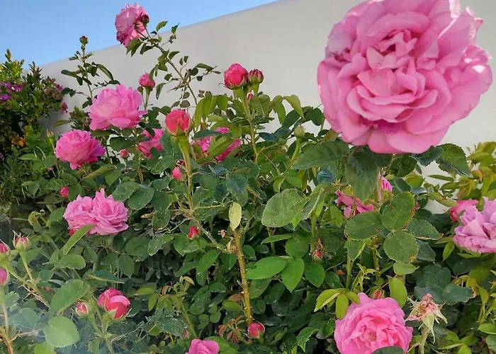 La Casa De Zag Adamantas (Milos)